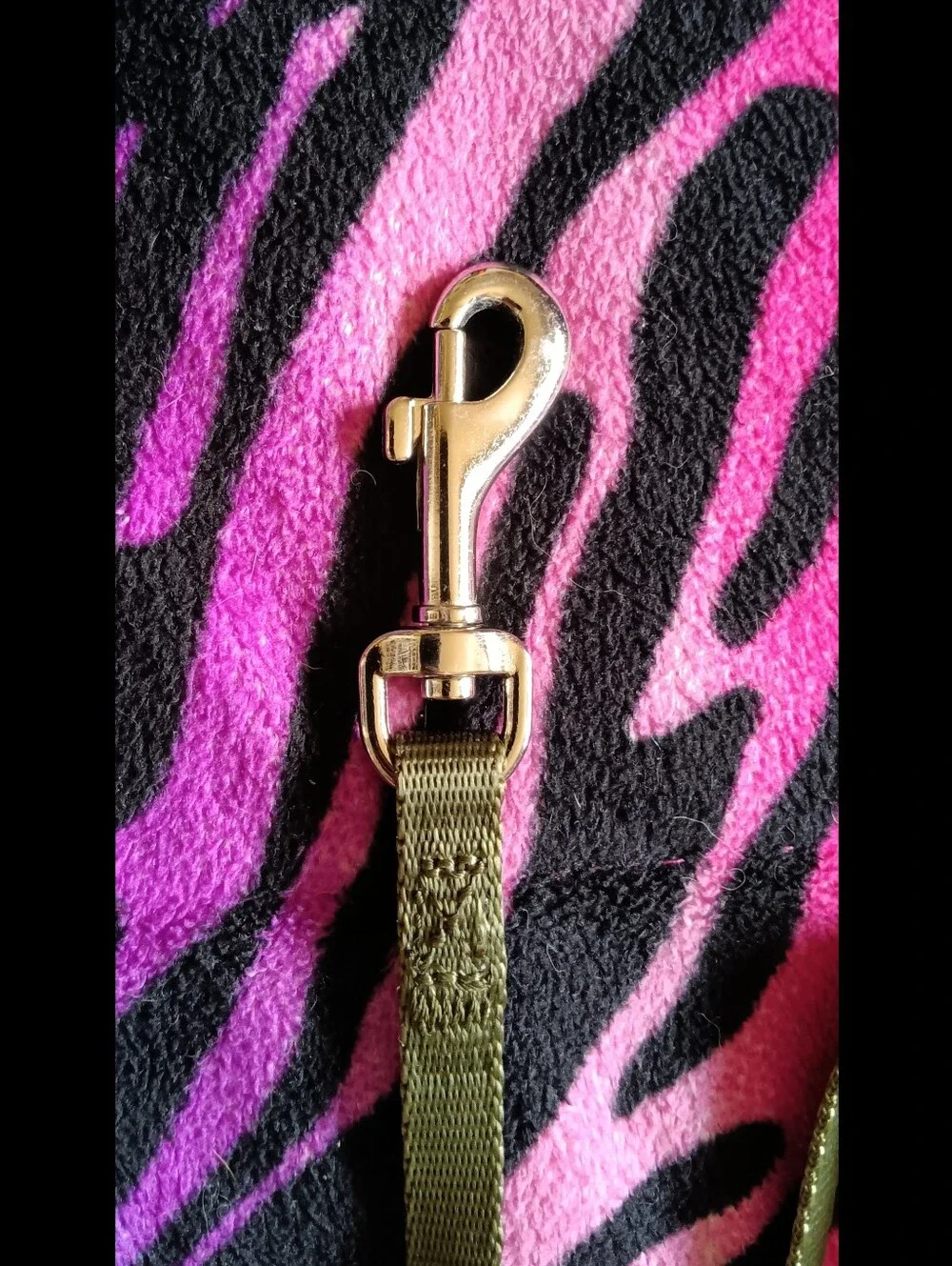 🖤 Bond & Co. Camo Print Cat Harness Leash Set Small S/M Medium Camoflauge Pets